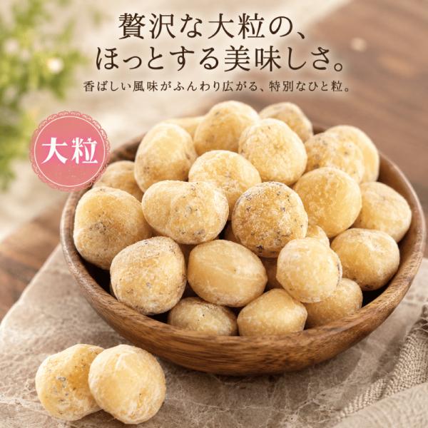 マカダミアナッツ オニオンガーリック味 500g 大粒 ホール 高品質 ロースト マカダミアナッツ 大人気 ナッツ やみつき オニオン ガーリック おつまみ