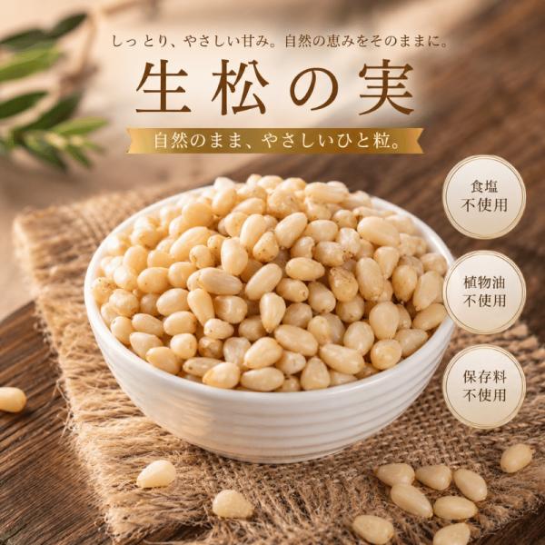 松の実 1kg プレミアム級 生 松の実 大人気 栄養素豊富 厳選 無添加 ナチュラル 松の実 高品質 おやつ おつまみ ヘルシー 無添加