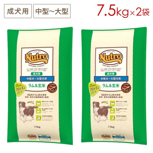 ナチュラルチョイス 2袋セット ニュートロ 中型犬〜大型犬用 成