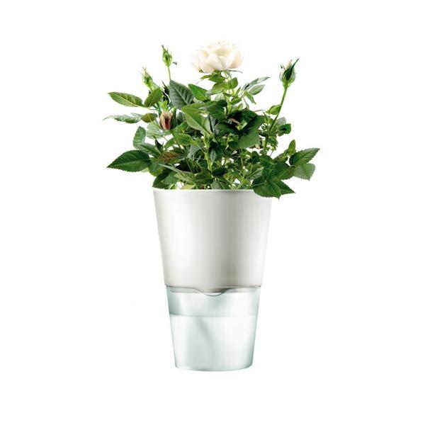 Go\ evasolo t[|bg n[u|bg zAؔ zCg STCY 568103 Ki