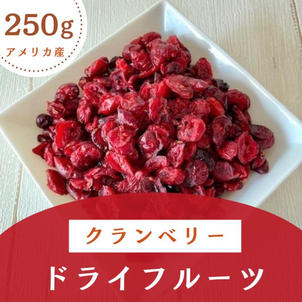 クランベリー ドライフルーツ アメリカ産 250g クランベリージュース クランベリーソース パン作り 防災食品 非常食 保存食 チャック付き