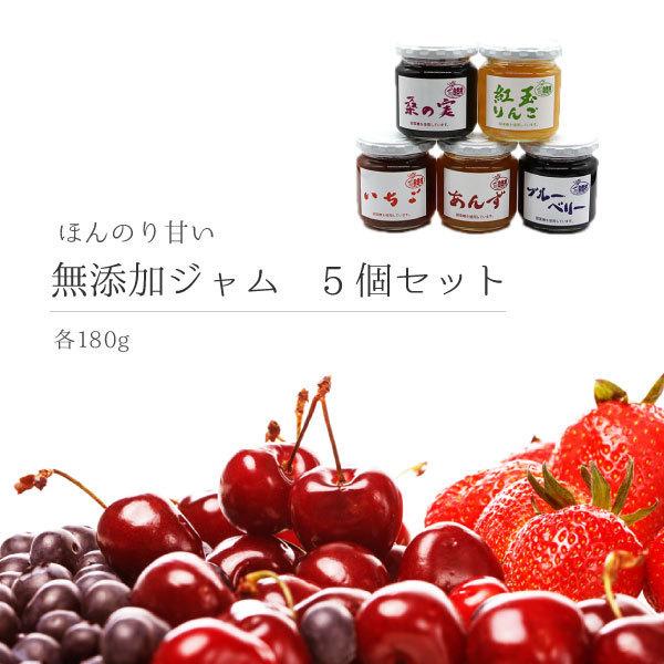 【送料無料・うれしい5個セット】ジャム5種(ブルーベリー/いちご/あんず/紅玉りんご/桑の実)　180g×各1個　送料無料 てんさい糖使用 保存料無添加