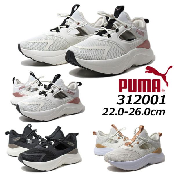 nws_pmj-312001