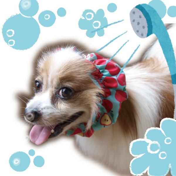 犬用シャワーキャップ わんぷぅきゃっぷりんごｓ Mサイズ 犬 シャンプー トリミング ドッグ ケア 耳 シャワーキャップ シャンプーハット 防水 Buyee Buyee 日本の通販商品 オークションの代理入札 代理購入