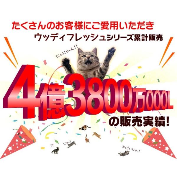 猫砂 木 飛び散り防止 猫 トイレ 燃えるゴミ ネコ砂 脱臭 抗菌 固まる 