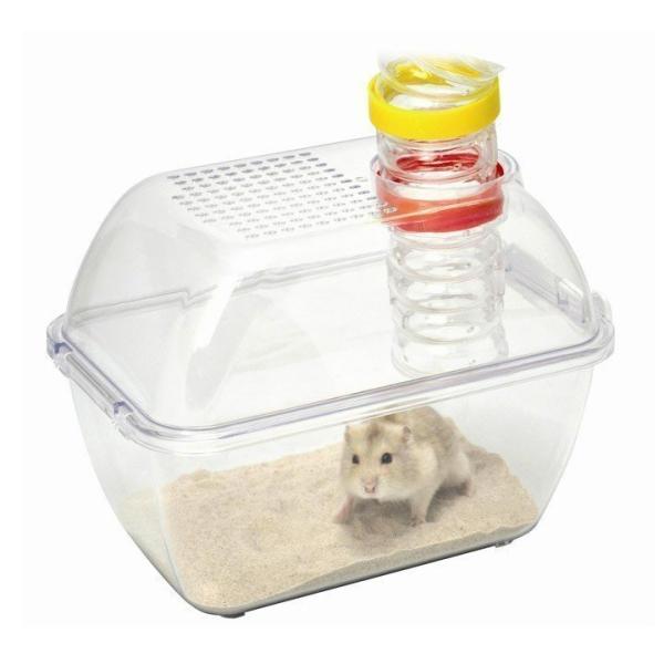 nX^[ WCgoXnEX pCvt OW