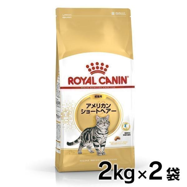 ロイヤルカナン 猫 アメリカンショートヘアー 成猫用 2kg×2個セット