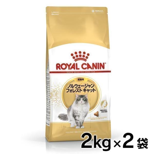 ロイヤルカナン 猫 ノルウェージャンフォレストキャット 成猫用2kg×2個セット 正規品 :7068119:にゃんこの生活 - 通販 - Yahoo!ショッピング ロイヤルカナン 猫 ノルウェージャンフォレストキャット 成猫用2kg×2個セット 正規品 :7068119:にゃんこの生活 - 通販 - Yahoo!ショッピング