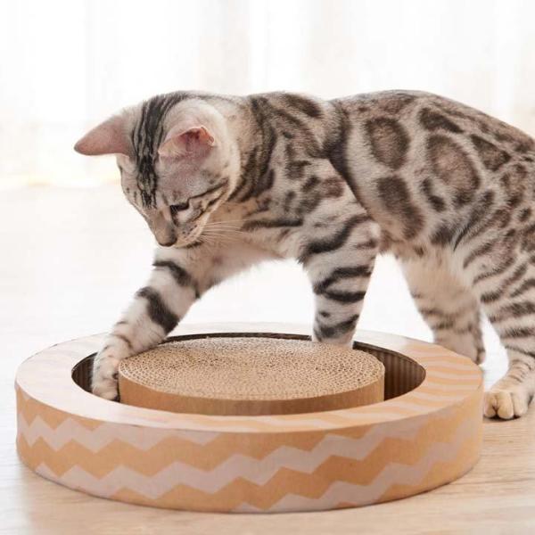 ●ソーシャルギフト注文について・一部設置商品は対象外です。 対象外の場合はメールにてご連絡させていただきます。・土日祝は優良配送の対象外となります。サークル型のスクラッチャーにボールが3個入っています♪猫ちゃんが良く遊びます！●商品サイズ(...