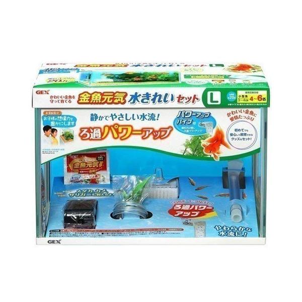 金魚 飼育セット 水槽セット Gex 金魚元気水きれいセットl にゃんこの生活 通販 Yahoo ショッピング