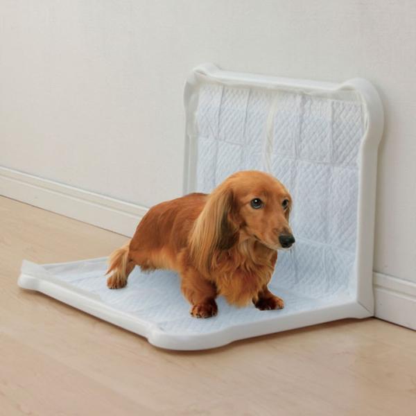 犬トイレ 犬トイレトレー しつけ ワイド おしゃれ 犬 トイレ 犬用トイレ アイリスオーヤマ ペット用 犬用 人気 おすすめ シーツぴたっとトレー ワイド P Sptw Buyee Buyee Japanese Proxy Service Buy From Japan Bot Online