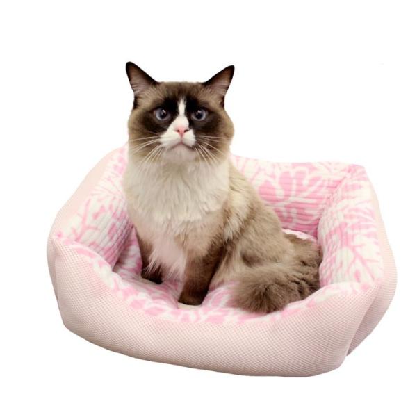 ペットベッド 夏用 犬 猫 ペットプロ モンステラベッド M ベッド カドラー リバーシブル 犬 猫 夏用 メッシュ クール 小型犬 Buyee 日本代购平台 产品购物网站大全 Buyee一站式代购 Bot Online