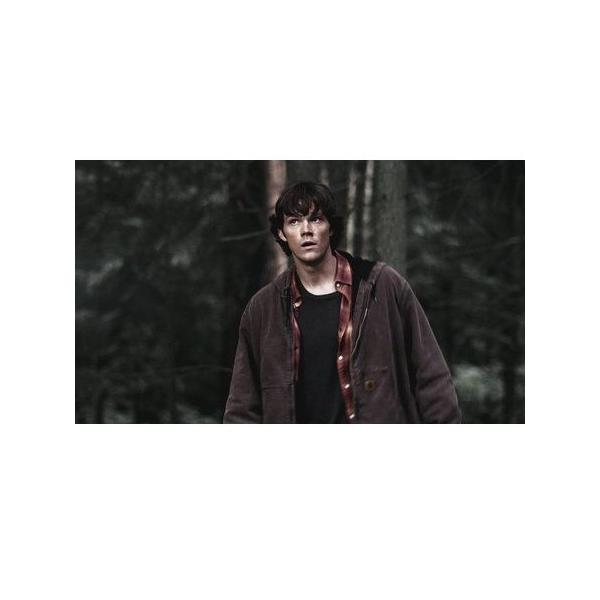 スーパーナチュラルでサムが着てるcarhartt カーハート フードジャケット Buyee Buyee 日本の通販商品 オークションの入札サポート 購入サポートサービス