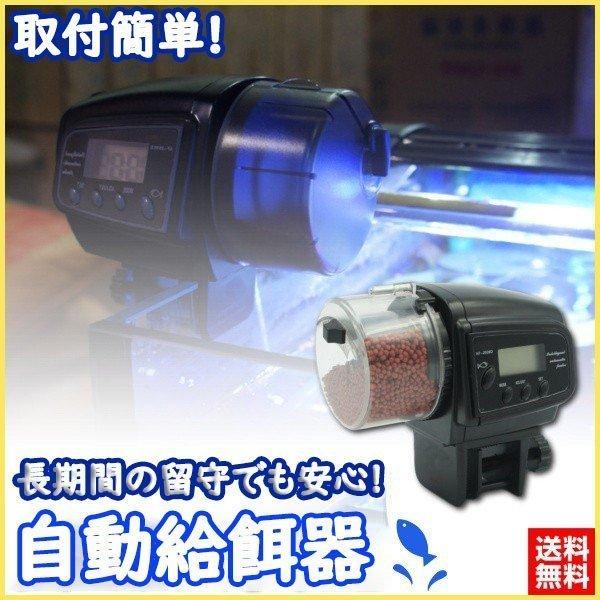 魚自動給餌器 自動餌やり機 魚 自動 餌やり装置 餌やり機 旅行 留守 出張 金魚 熱帯魚 水槽 魚用 オートフィーダー Cwwy21 0 S 通販 Yahoo ショッピング
