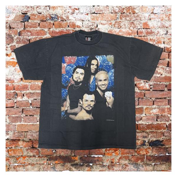 Red Hot Chili Peppers / レッドホットチリペッパーズ Tシャツ one hot