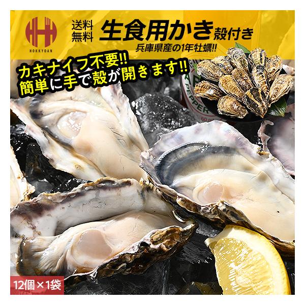 63%OFF!】 兵庫県産 生食 かき カキ 牡蠣 貝類 12個入り 刺身 さしみ 殻付き