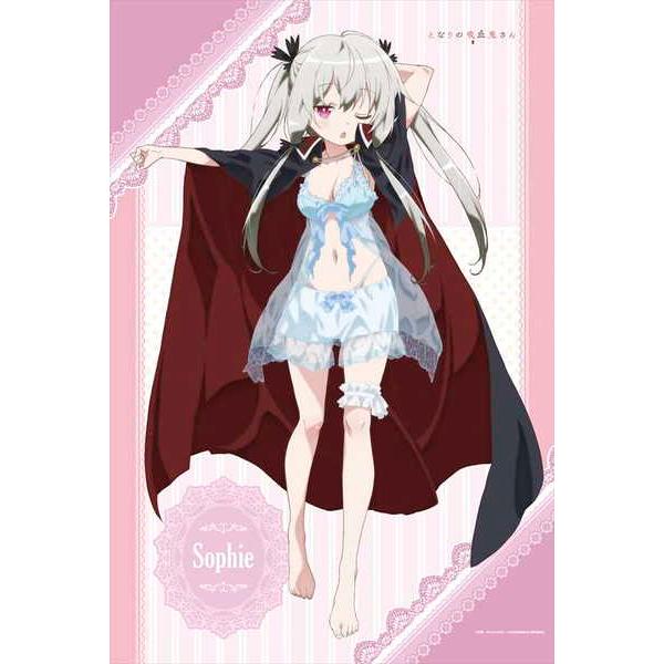 となりの吸血鬼さん 描き下ろしb2タペストリー 1 ソフィー トワイライト 予約 07 未定 発売予定 O Trap Yahoo ショップ 通販 Yahoo ショッピング