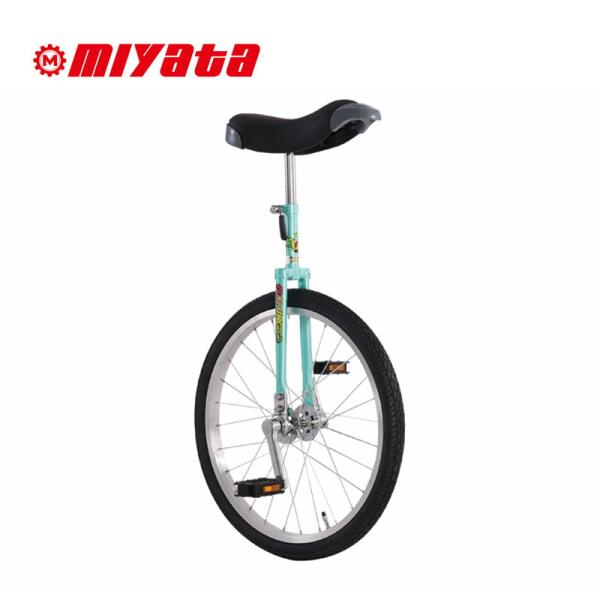 MIYATA ミヤタ FLAMINGO フラミンゴ 22インチ 一輪車一輪車協会認定品