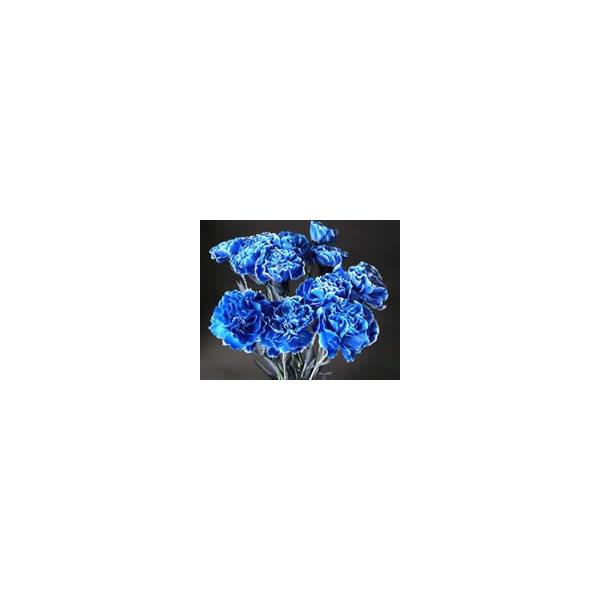 切り花着色剤 ファンタジー 100ml ロイヤルブルー 切り花染色液 Buyee Buyee Japanese Proxy Service Buy From Japan Bot Online