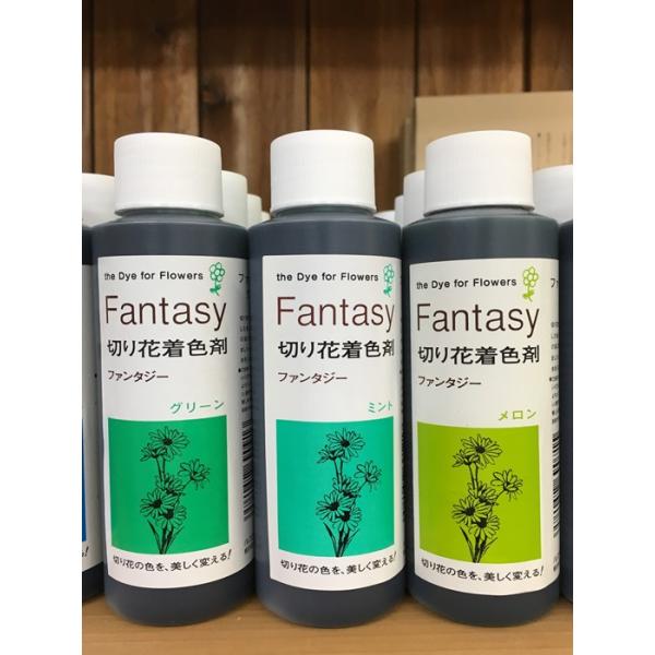切り花着色剤 ファンタジー100ml ミント 切り花染色液 Buyee Buyee Japanese Proxy Service Buy From Japan Bot Online