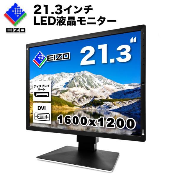 【動作確認済み】EIZO RX240 21.3インチ 医療用モニター 中古 モニター EIZO RX240 21.3インチ DVI-D DisplayPort 中古