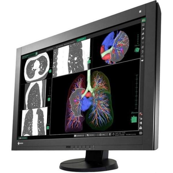 Eizoモニター EIZO RadiForce RX440 液晶モニター 29.8インチワイド ブラック