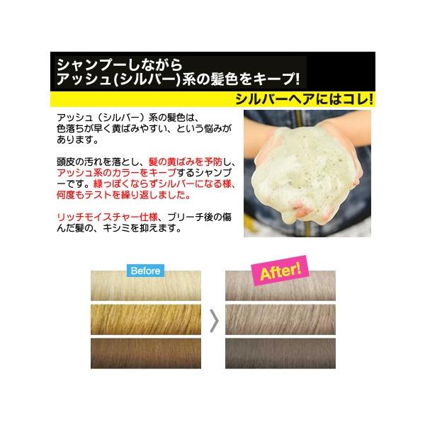 ロイド カラーシャンプー Roydカラーシャンプー シルバー 300ml Royd 毎日のシャンプーでサロンで染めた髪色キープ Buyee Buyee Japanese Proxy Service Buy From Japan Bot Online