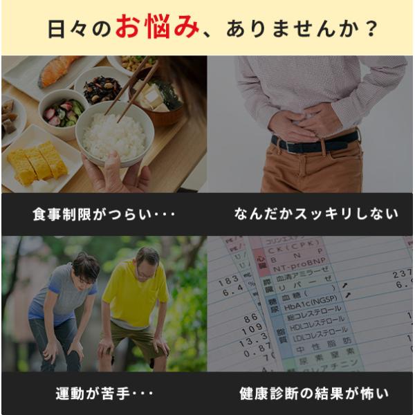 菊芋 イヌリン サプリ サプリメント 公式 前田の菊芋 粒タイプ 250粒 ドイツ産 有機栽培 糖対策 Buyee Buyee 日本の通販商品 オークションの代理入札 代理購入