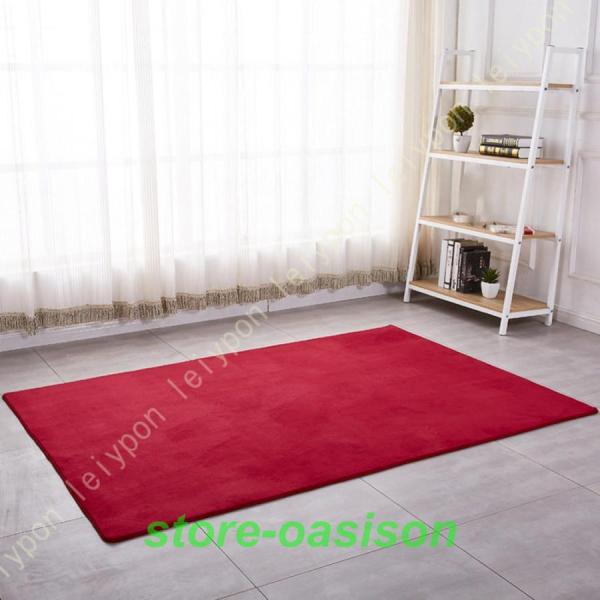 ラグ カーペット 120*160cm ラグマット 厚手 160×230 約3畳 ローズレッド 撥水加工 滑り止め付 防音 抗菌 防ダニ加工 床暖房 ホットカーペット対応 じゅうたん