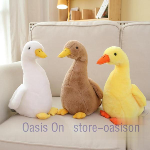 oasison_yjs0910-wanou323