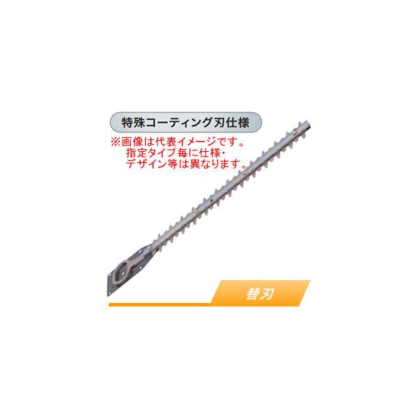 oasisu_720467