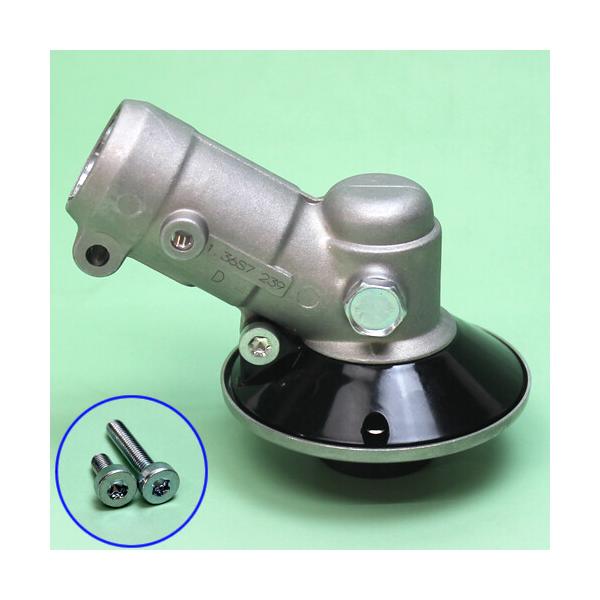 アヌピアス・バリエゲーテッド・キン　2株 oasisu_722973v012