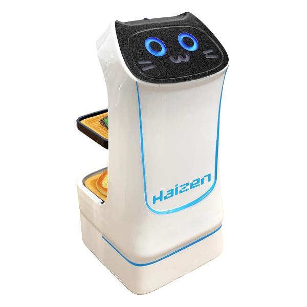 TKSK RC配膳ロボットプチ STEAM 2台同時操作可能 ファミレス ネコ型ロボット 乾電池使用 全長:約120mm 6歳から TK-1