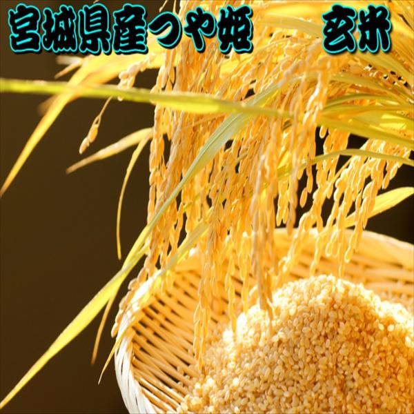 宮城県産 つや姫 5kgの人気商品 通販 価格比較 価格 Com
