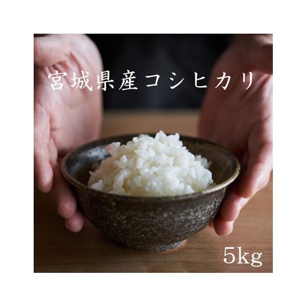 宮城県産 コシヒカリ5kg 令和7年産 送料無料【LINE友達登録で50円OFFクーポン配布中】米 白米 玄米 白米5kg×1袋 玄米5kg×1袋