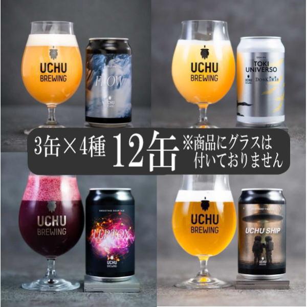 うちゅうブルーイング 350ml 12缶 (3本×4種) 飲み比べ 宇宙ビール