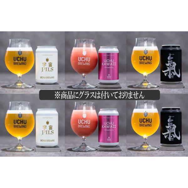 うちゅうブルーイング　350ml　6缶　(2缶×3種)　飲み比べ　宇宙ビール　Jun20