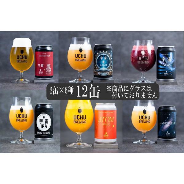 うちゅうブルーイング 350ml 12缶 飲み比べ 宇宙ビール Aug13