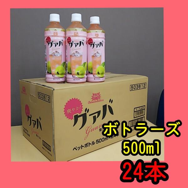 沖縄ボトラーズ グァバ 10％ドリンク 500ml×24本 ※宅急便代ご