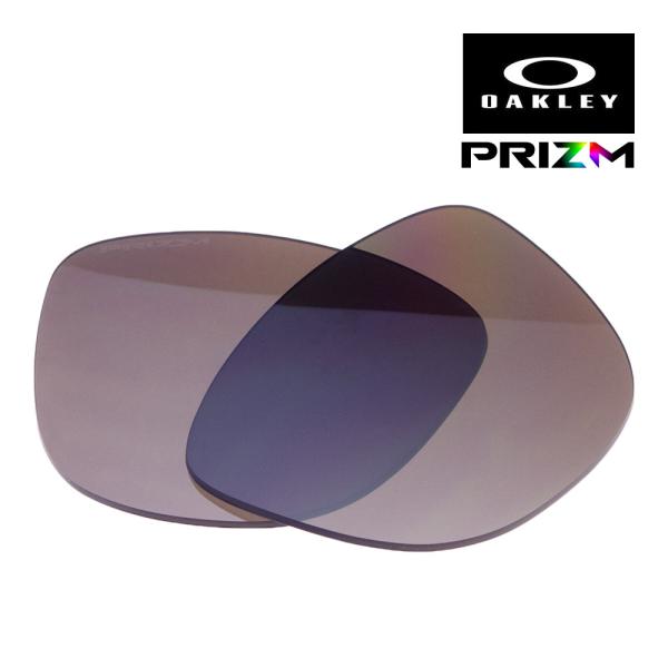 Frogskins オークリー フロッグスキン 102-797-001 サングラス 交換