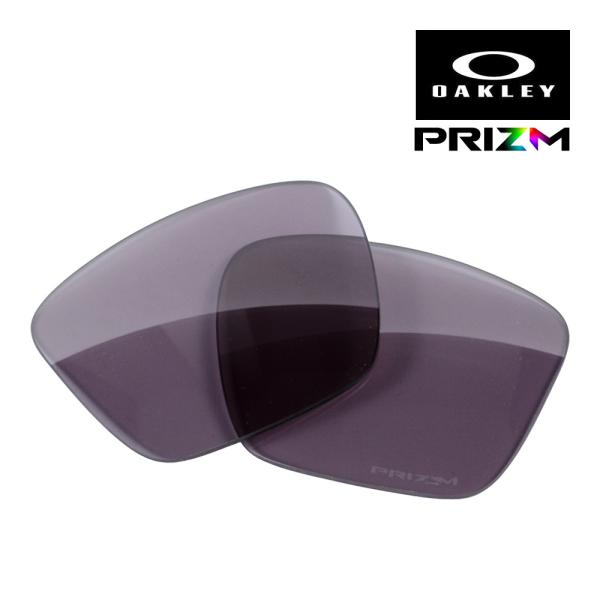 OAKLEY（オークリー） アクチュエーター エスキュー 103-621-005