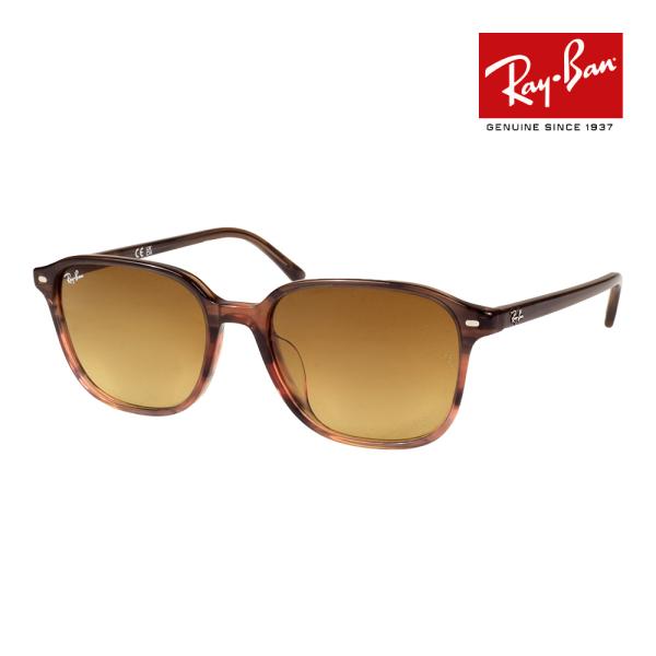 レイバン RB2193F 13871 55 サングラス レオナルド ローブリッジ oblige_rb2193f-138085-55
