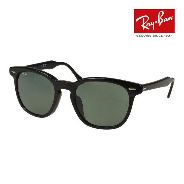 Ray-Ban（レイバン） サングラス rb2298f 54サイズ 901/31 ロー