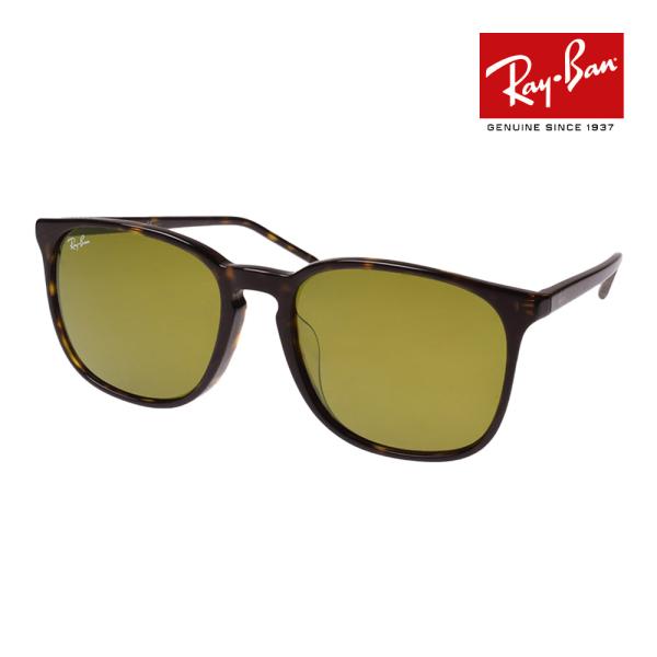 Ray-Ban（レイバン） サングラス rb4387f 55サイズ 902/73 ロー