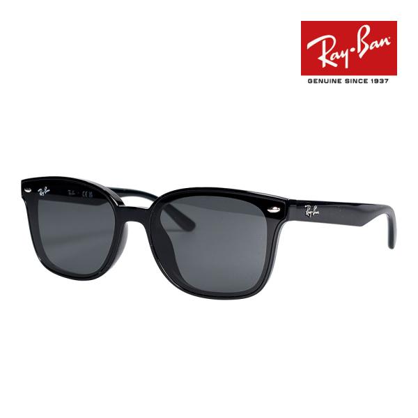 Ray-Ban（レイバン） サングラス rb4461d 64サイズ 601/87 ロー