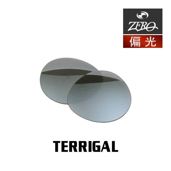 OAKLEY（オークリー） サングラス 交換レンズ テリガル OAKLEY 