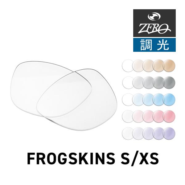 三洋電機　プロジェクター用交換レンズ　STANDARD ZOOM LENS　LNS-S51 f38.4-59.9mm　 Frogskins オークリー サングラス 交換レンズ フロッグスキン XS