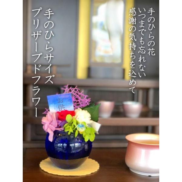  vU[uht[ p[Iut[ ڗF13H d  O 䕧O