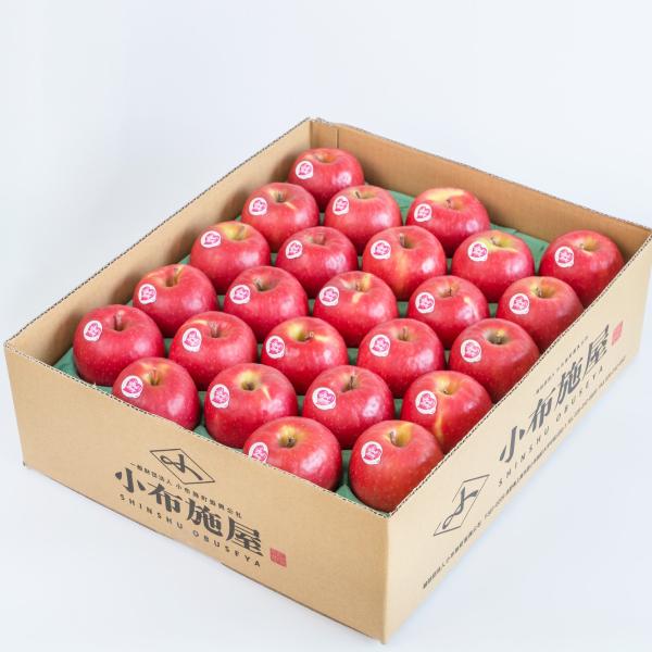 摘果りんご　20kg 1kg 加工用