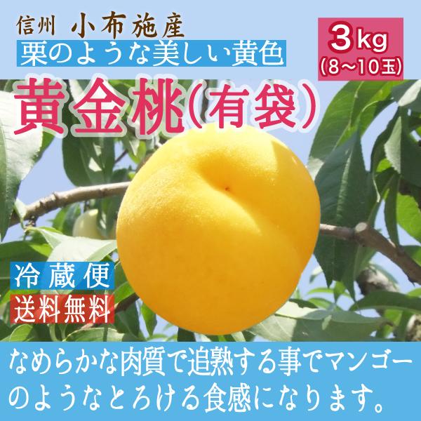 桃 黄金桃（有袋) 約3kg /冷蔵便 送料無料 長野 産地直送 マロン